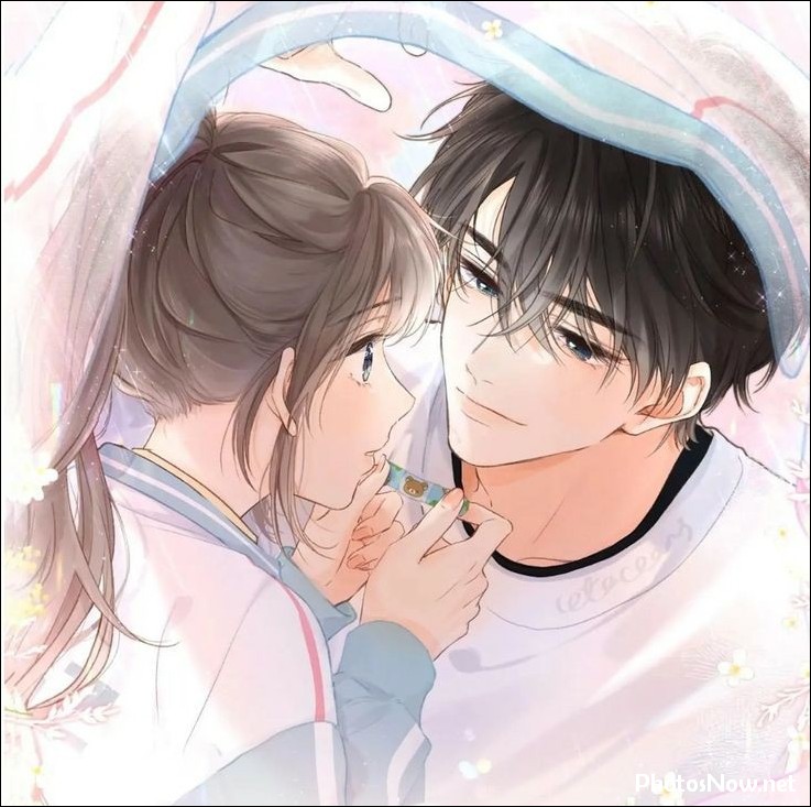 anime-dp