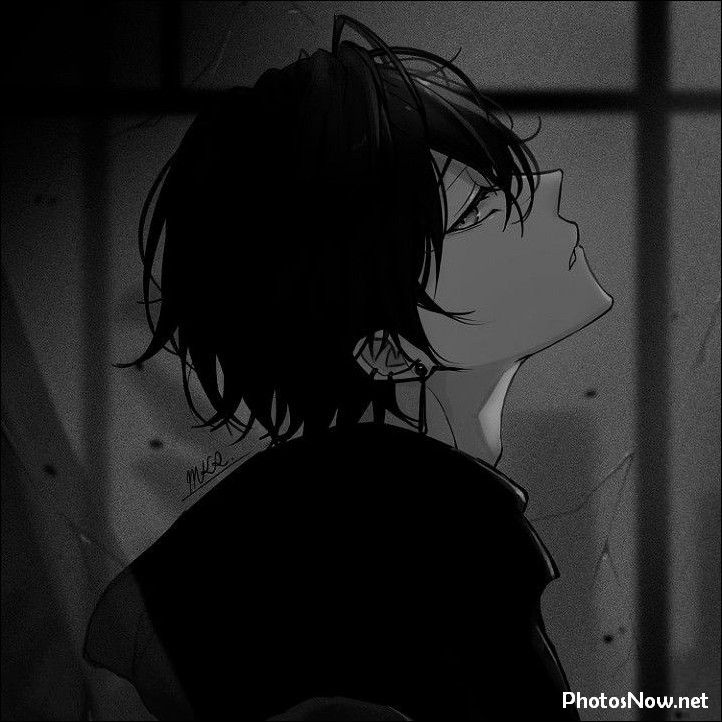 anime-dp