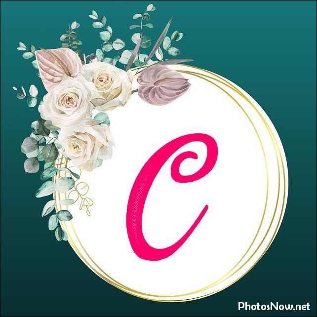 c-name-dp