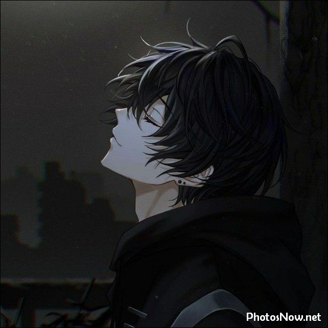 couple-anime-dp-whatsapp-instagram
