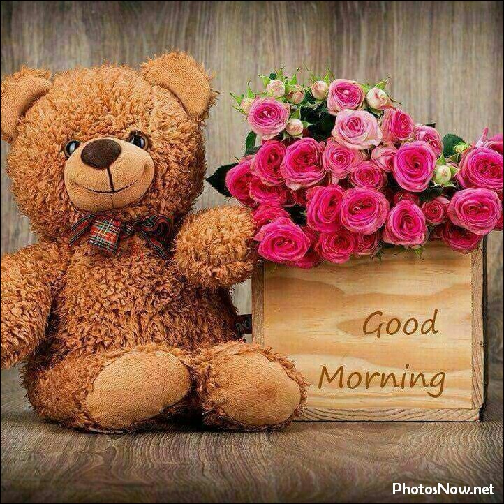 cute-dp-girl-boy21 cute-teddy-wallpapers