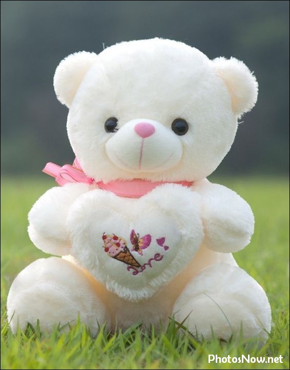 cute-dp-girl-boy31 cute-dp-girl-boy