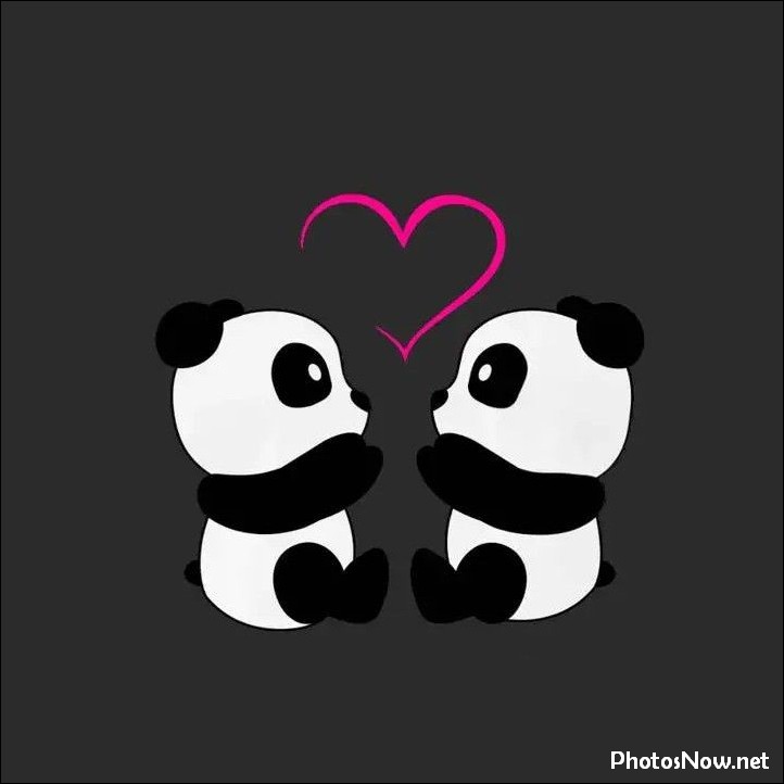 cute-dp-girl-boy41 panda-dp