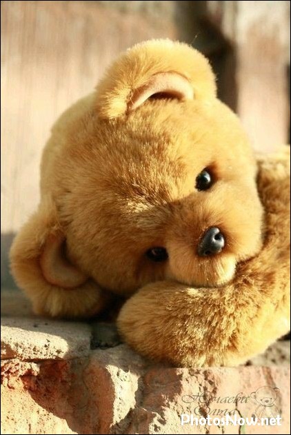 cute-dp34 cute-whatsapp-dp
