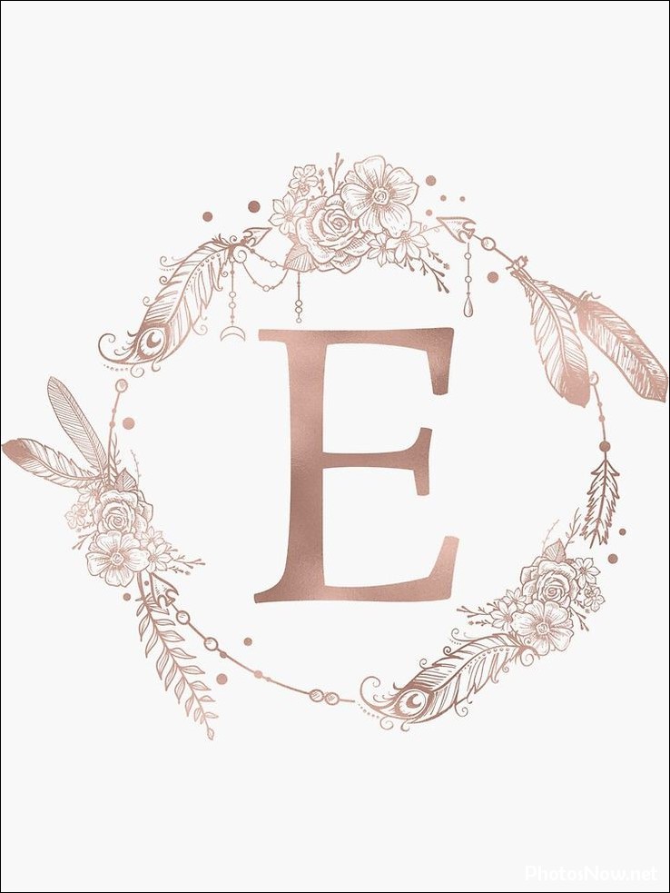 e-name-dp e-name-dp