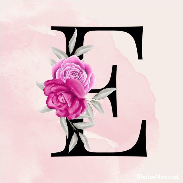 e-name-dp e-name-dp
