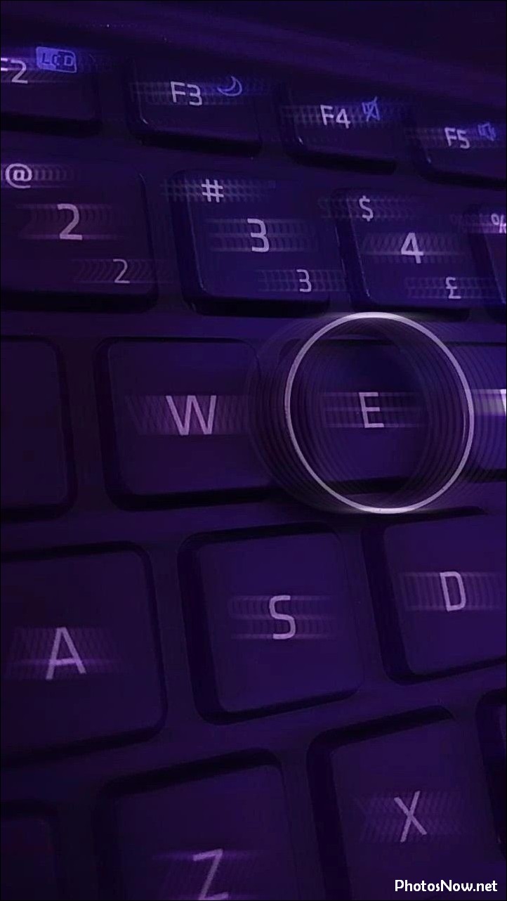 e-name-dp e-name-dp