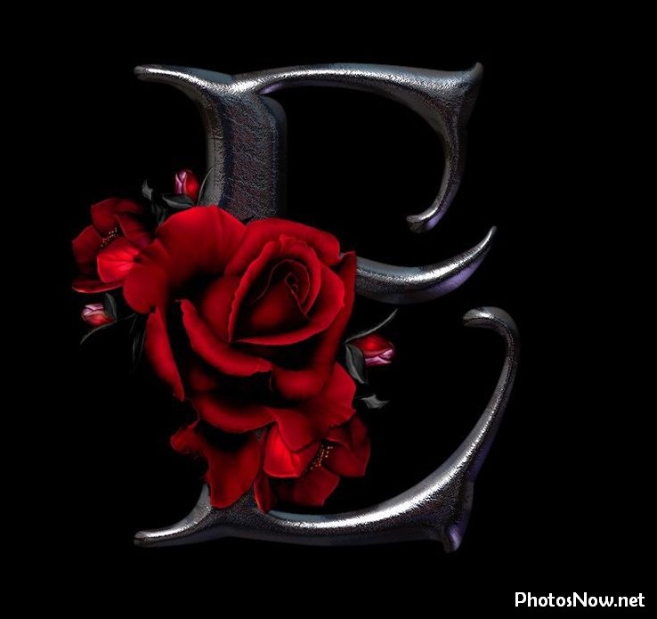 e-name-dp e-name-dp