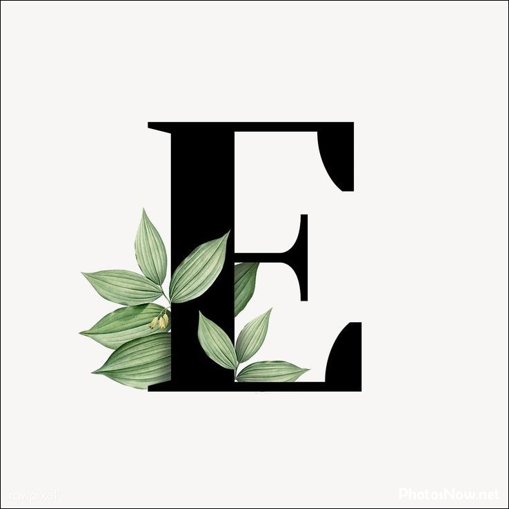 e-name-dp e-name-dp