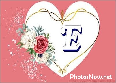 e-name-dp e-name-dp