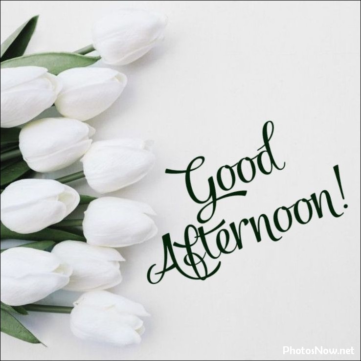 good-afternoon-images-photos-pics good-afternoon-wallpapers
