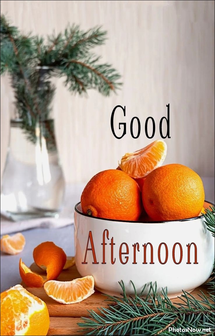 good-afternoon-images-photos-pics good-afternoon-images-photos-pics