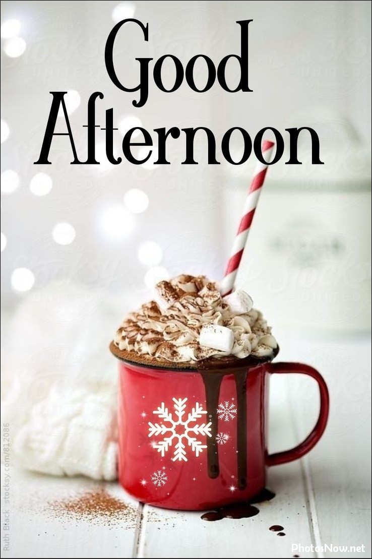 good-afternoon-images-photos-pics good-afternoon-dp