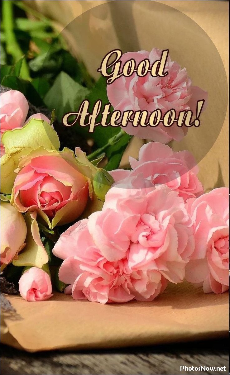 good-afternoon-images-photos-pics good-afternoon-images-photos-pics