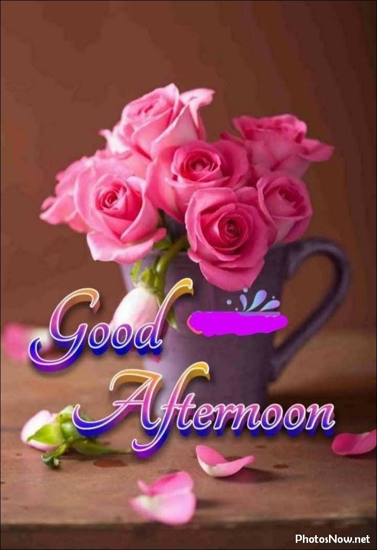 good-afternoon-images-photos-pics good-afternoon-images-photos-pics