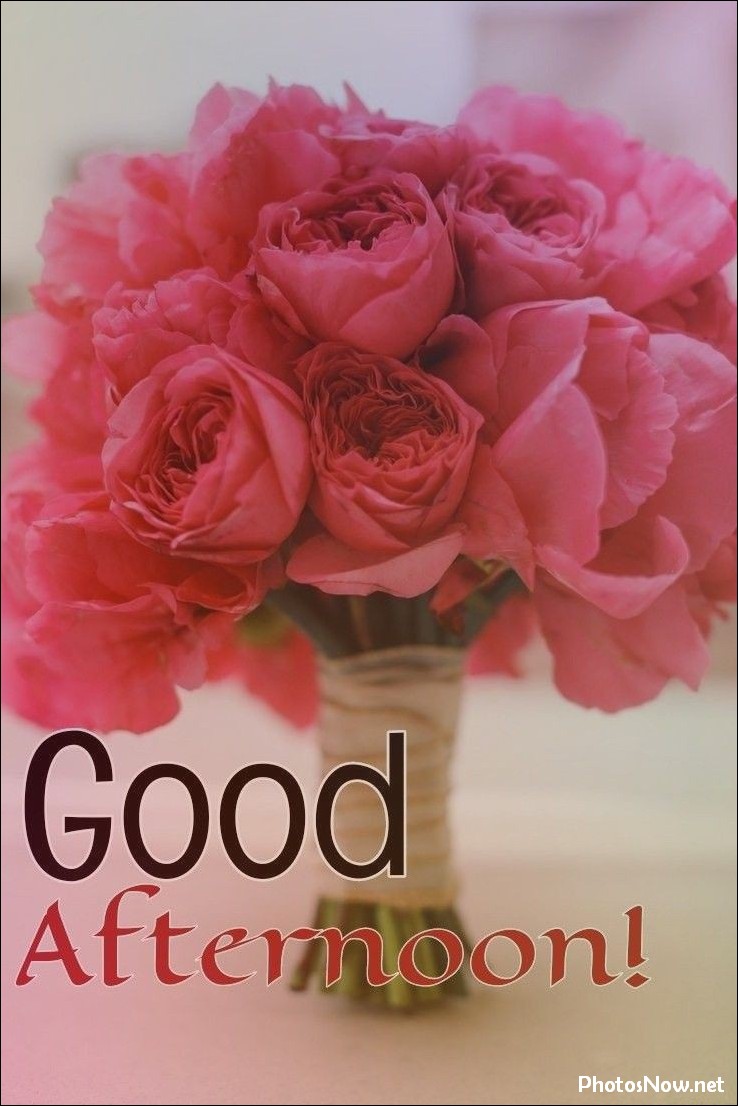 good-afternoon-images-photos-pics good-afternoon-images-photos-pics