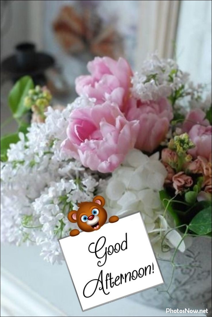 good-afternoon-images-photos-pics good-afternoon-images-photos-pics