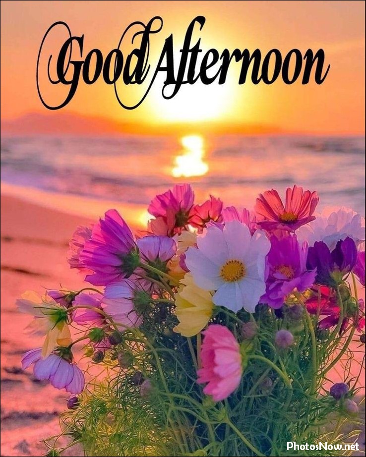 good-afternoon-images-photos-pics good-afternoon-images-photos-pics