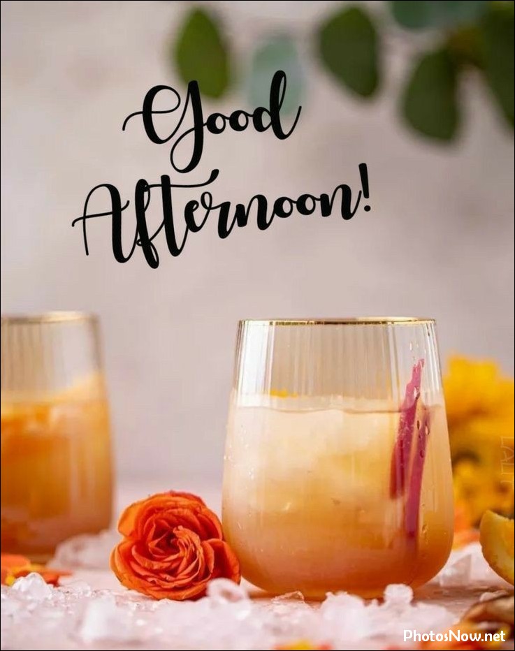 good-afternoon-images-photos-pics good-afternoon-images-photos-pics