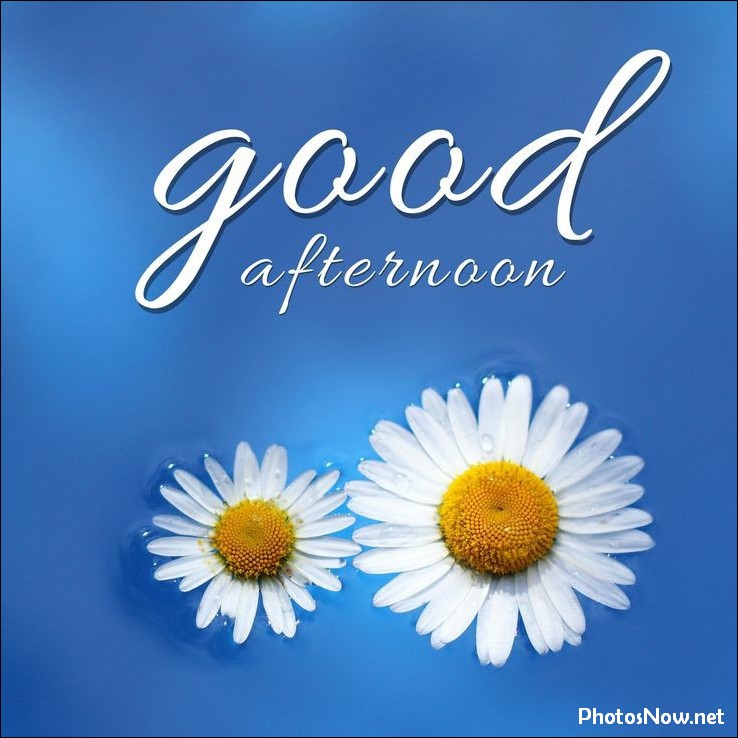 good-afternoon-images-photos-pics good-afternoon-images-photos-pics