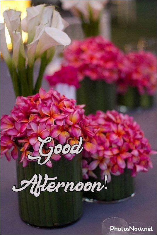 good-afternoon-images-photos-pics good-afternoon-images-photos-pics