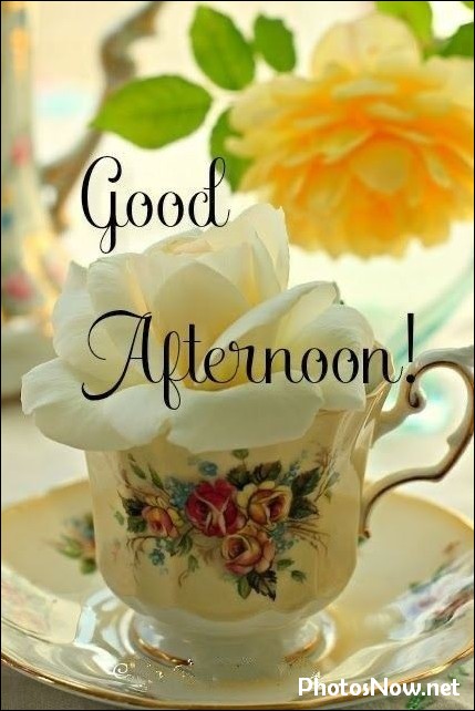 good-afternoon-images-photos-pics good-afternoon-images-photos-pics