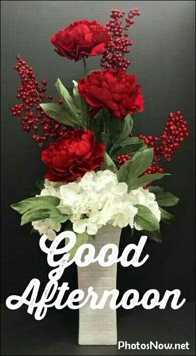 good-afternoon-images-photos-pics good-afternoon-images-photos-pics