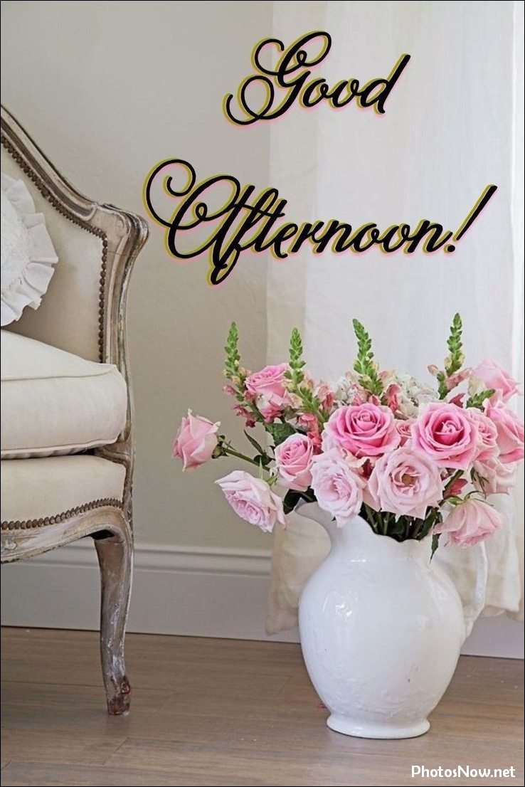 good-afternoon-images-photos-pics good-afternoon-images-love