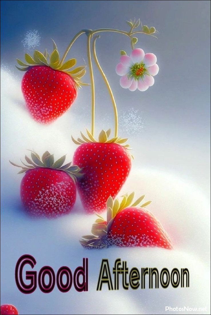 good-afternoon-images-photos-pics good-afternoon-images-photos-pics