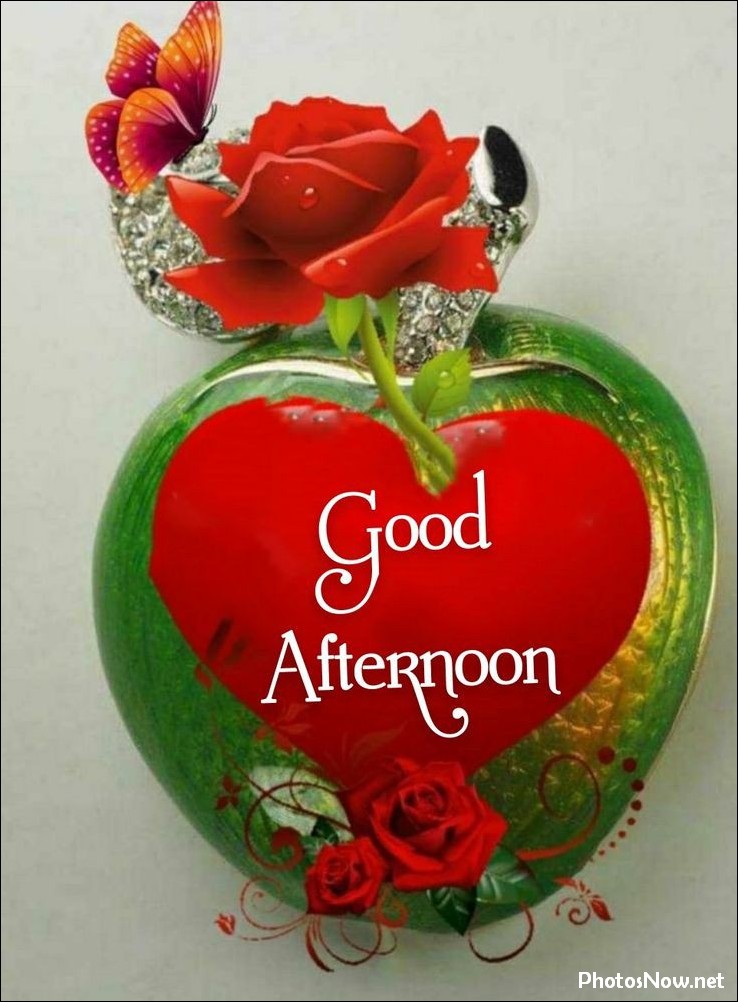good-afternoon-images-photos-pics good-afternoon-images-photos-pics