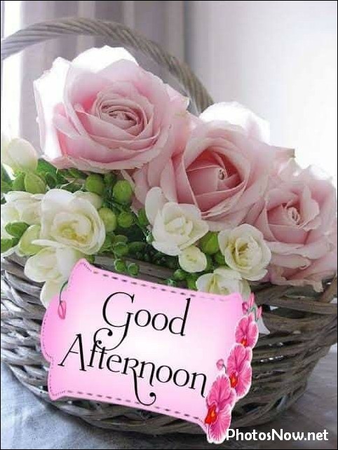 good-afternoon-images-photos-pics good-afternoon-images-photos-pics