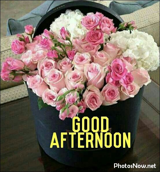 good-afternoon-images-photos-pics good-afternoon-images-photos-pics