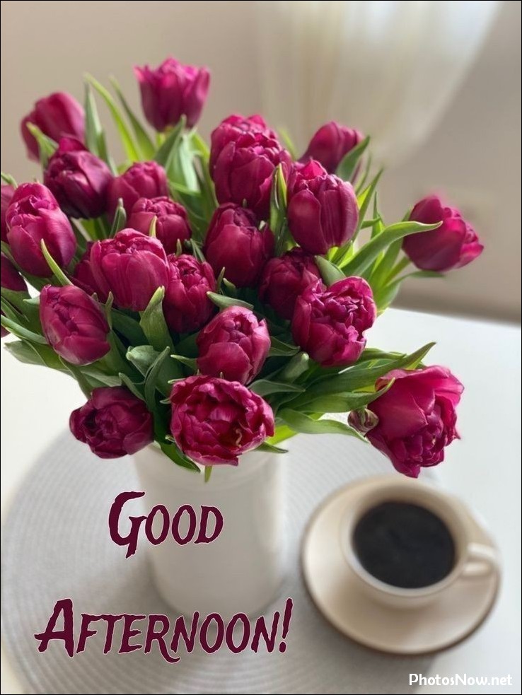 good-afternoon-images good-afternoon-images