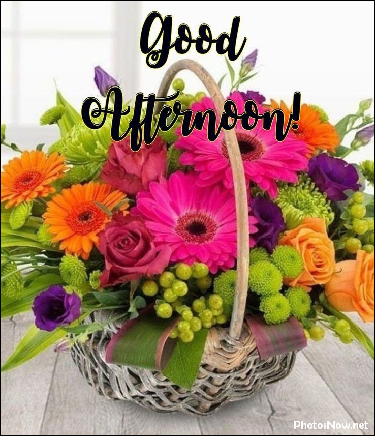 good-afternoon-images good-afternoon-images
