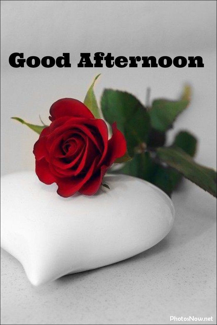 good-afternoon-images good-afternoon-images