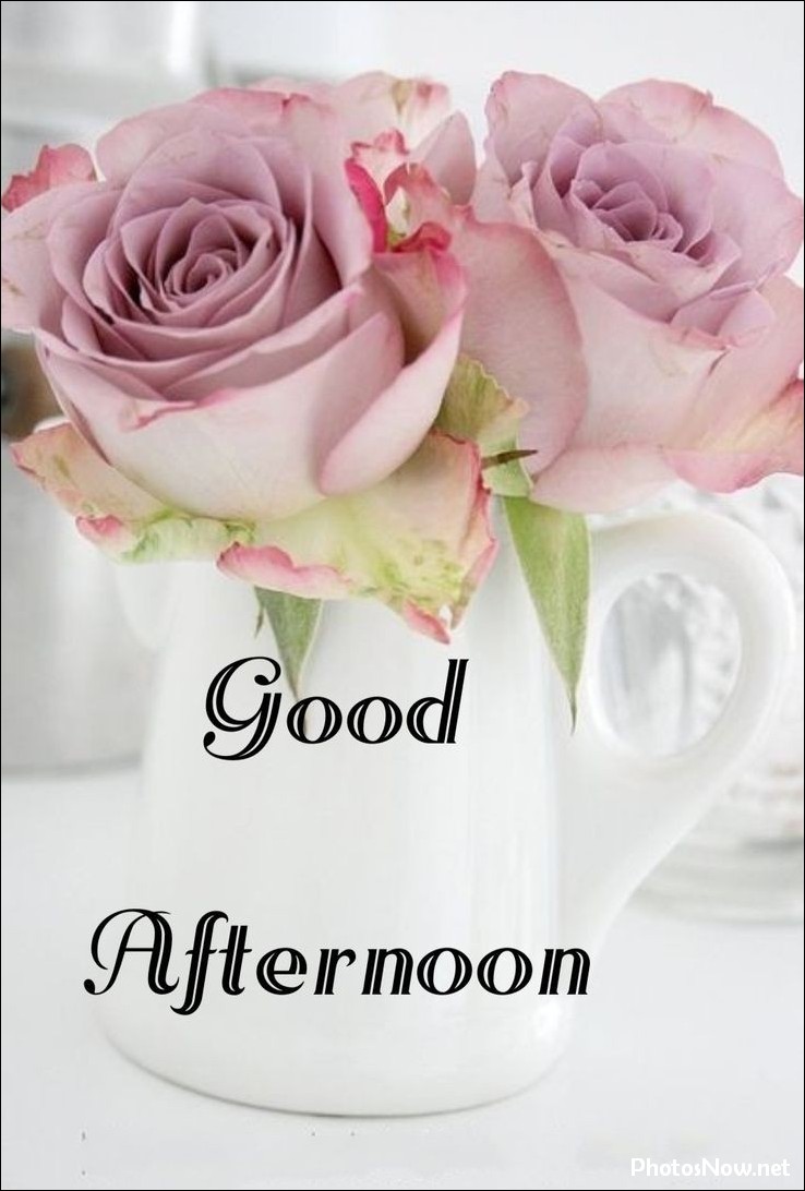 good-afternoon-images good-afternoon-photos