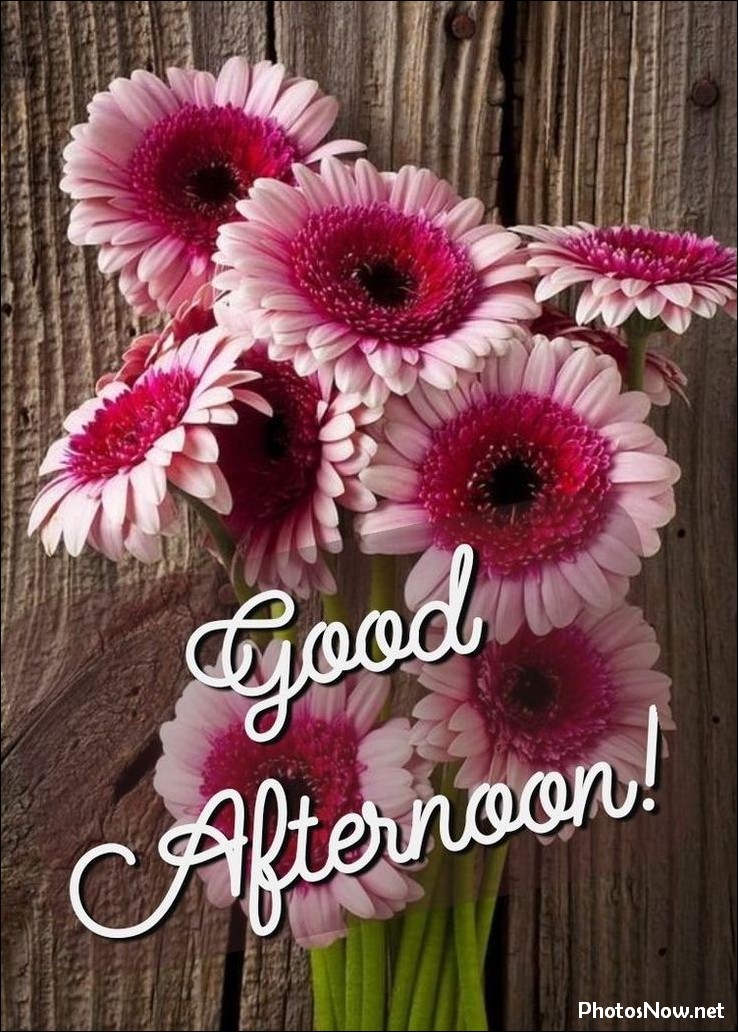 good-afternoon-images good-afternoon-images