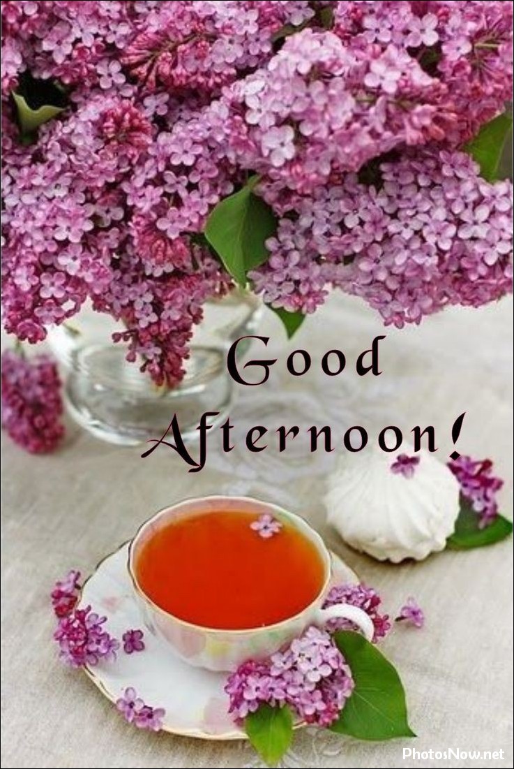 good-afternoon-images good-afternoon-photos