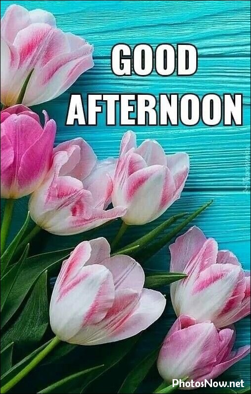 good-afternoon-images good-afternoon-images