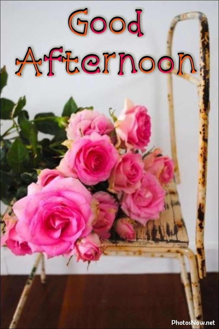 good-afternoon-images good-afternoon-images