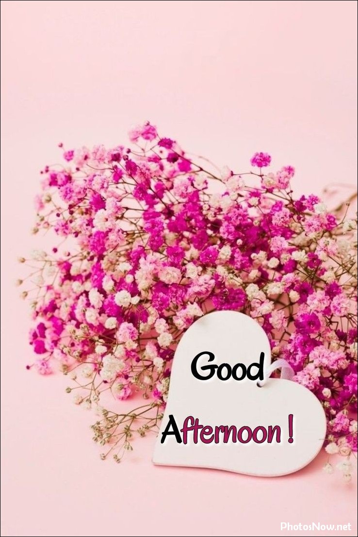 good-afternoon-images good-afternoon-images-love