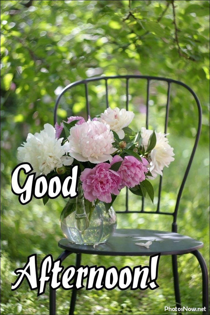 good-afternoon-images good-afternoon-images