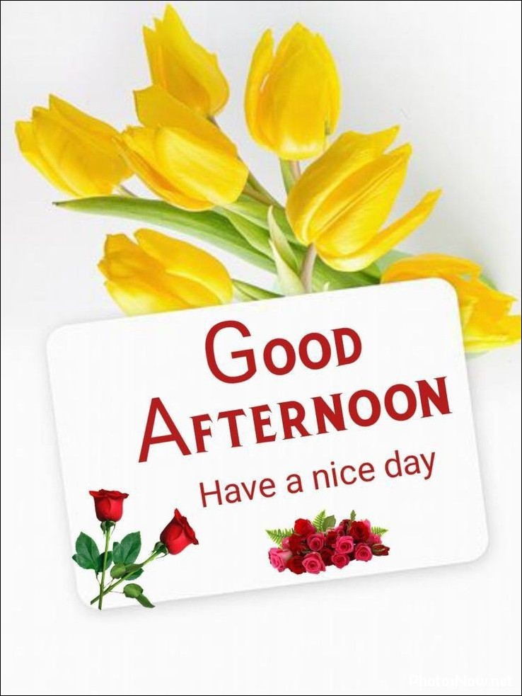 good-afternoon-images good-afternoon-images