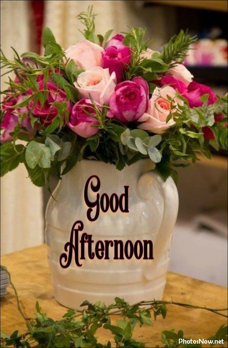 good-afternoon-images good-afternoon-images