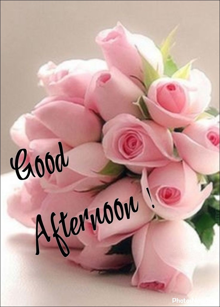 good-afternoon-images good-afternoon-images