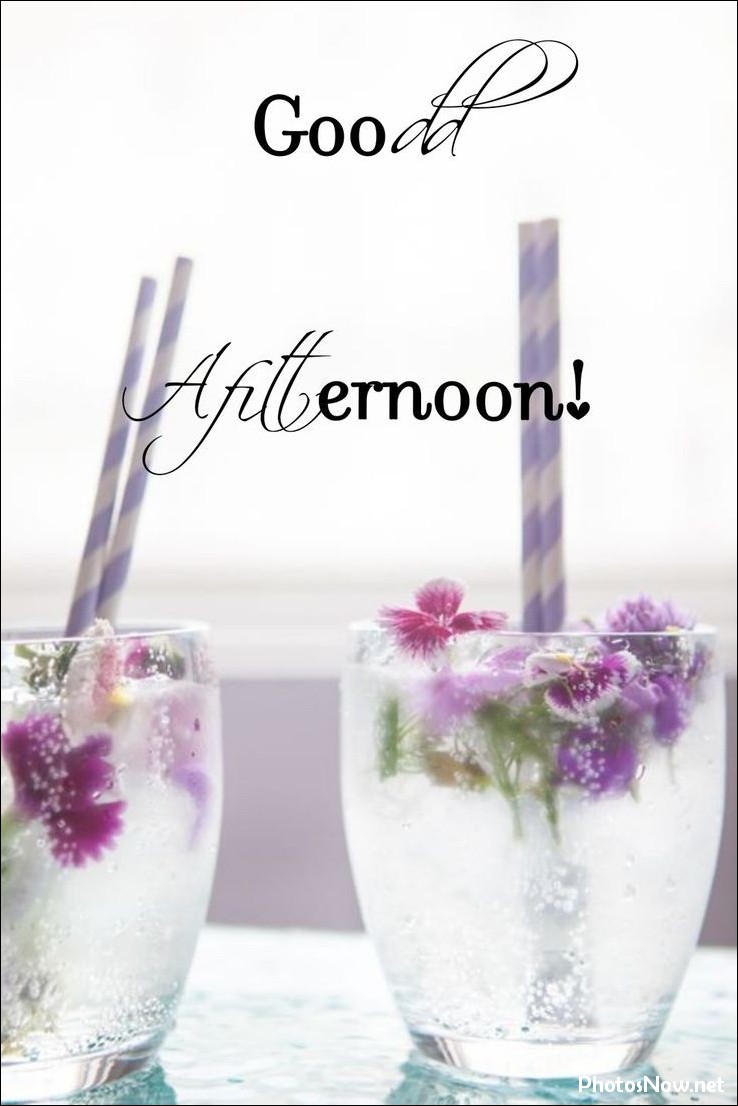 good-afternoon-images good-afternoon-images
