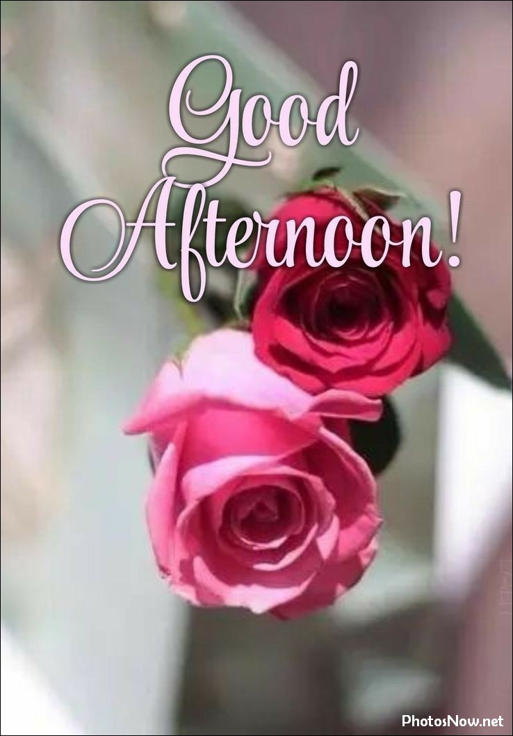 good-afternoon-images good-afternoon-images
