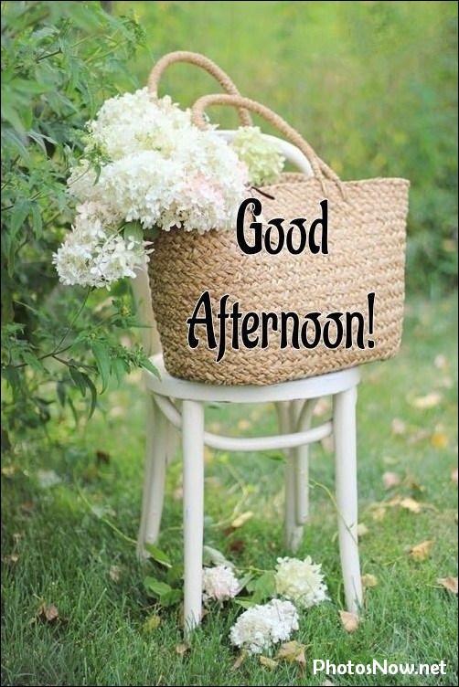 good-afternoon-images best-good-afternoon-images