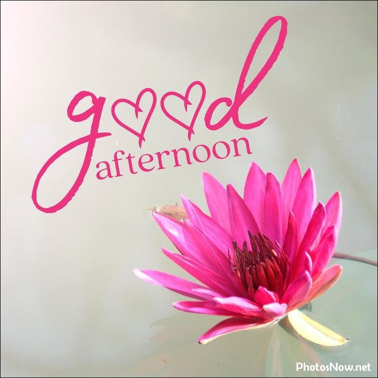 good-afternoon-images good-afternoon-photos