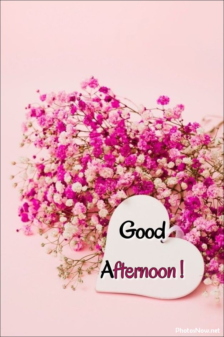 good-afternoon-images good-afternoon-images